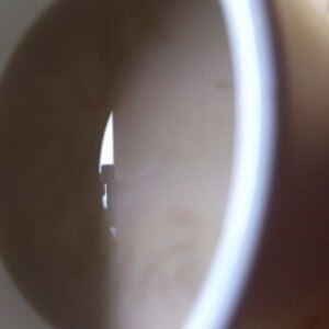 麦芽豆乳風コーヒー豆乳